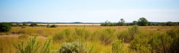Concerns Rise Over Layoffs at Cameron Prairie Wildlife Refuge