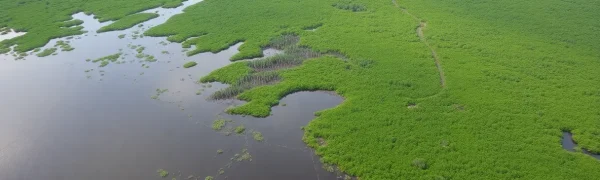 Plaquemines Parish Secures Major Environmental Victory Against Chevron