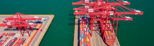 The Trade War Hits Hard: Slowdown at the Port of Los Angeles