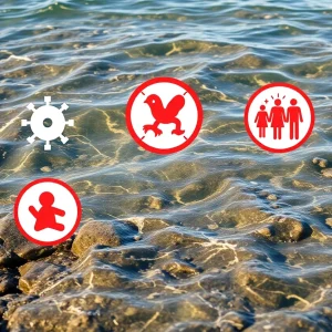 Warning sign about Vibrio vulnificus near the coast