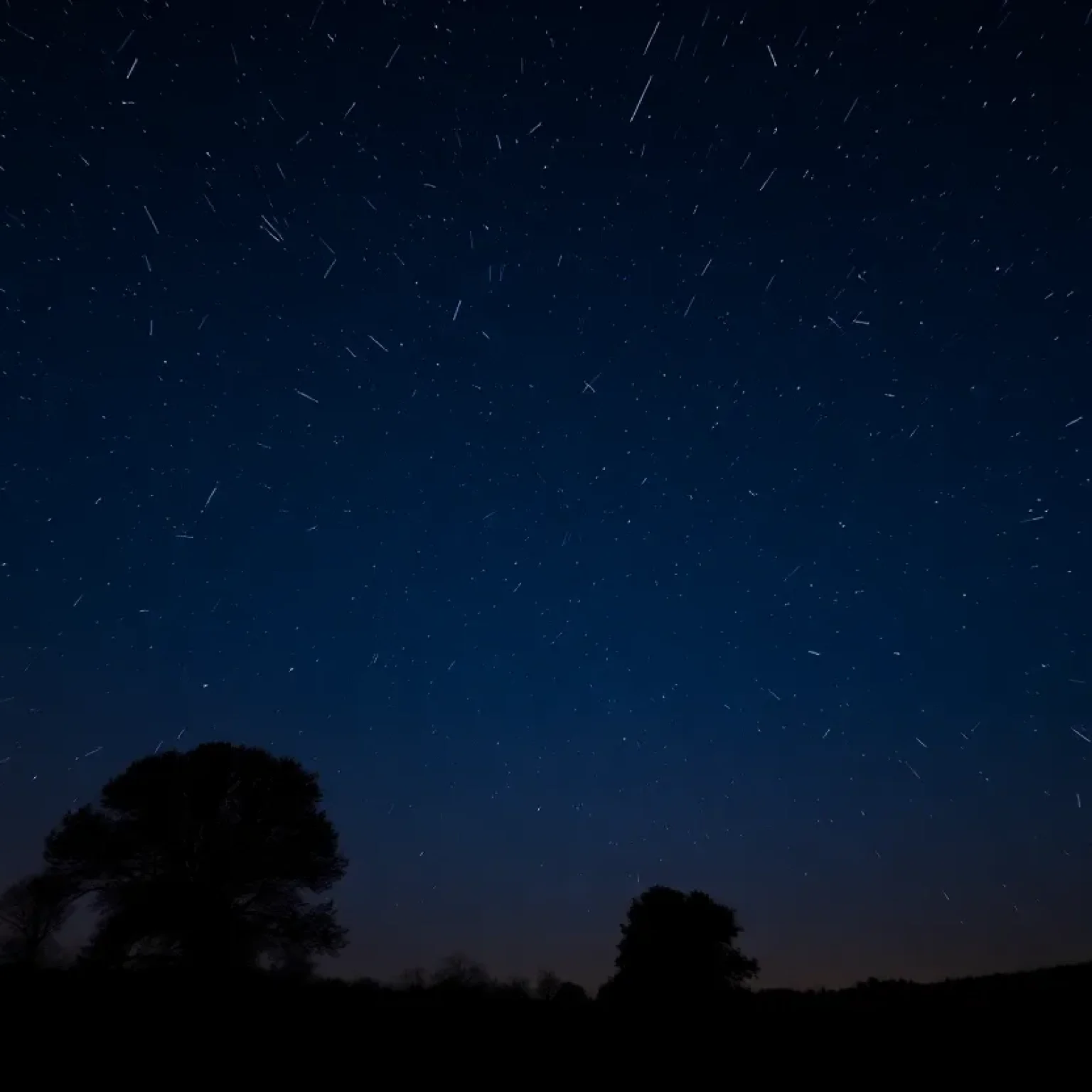 Night sky with shooting stars from the Orionid meteor shower